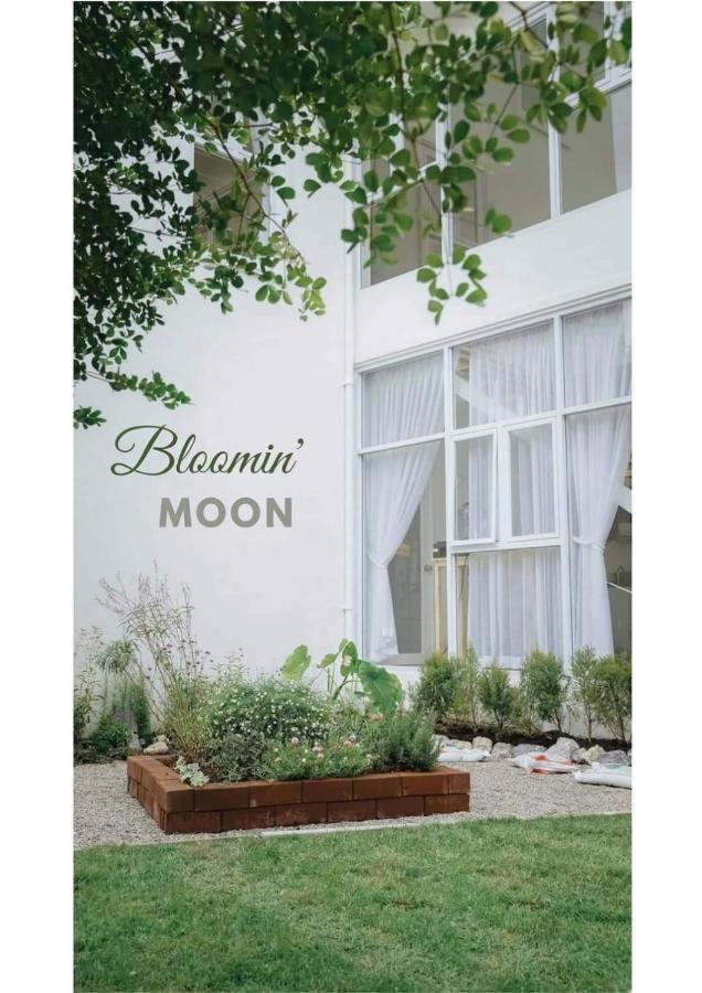 Bloomin' Moon Hostel & Cafe, Chiang Mai Old Town Εξωτερικό φωτογραφία
