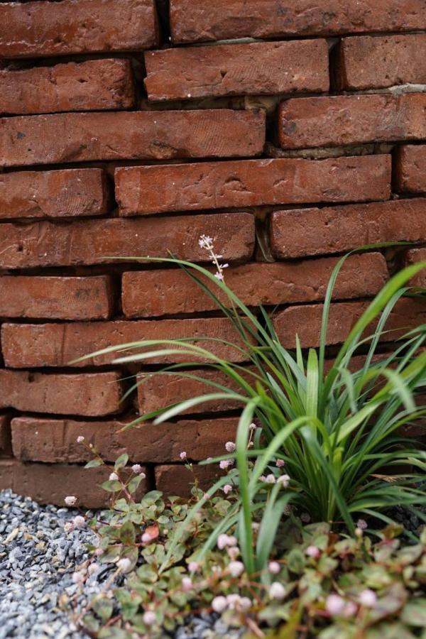 Bloomin' Moon Hostel & Cafe, Chiang Mai Old Town Εξωτερικό φωτογραφία